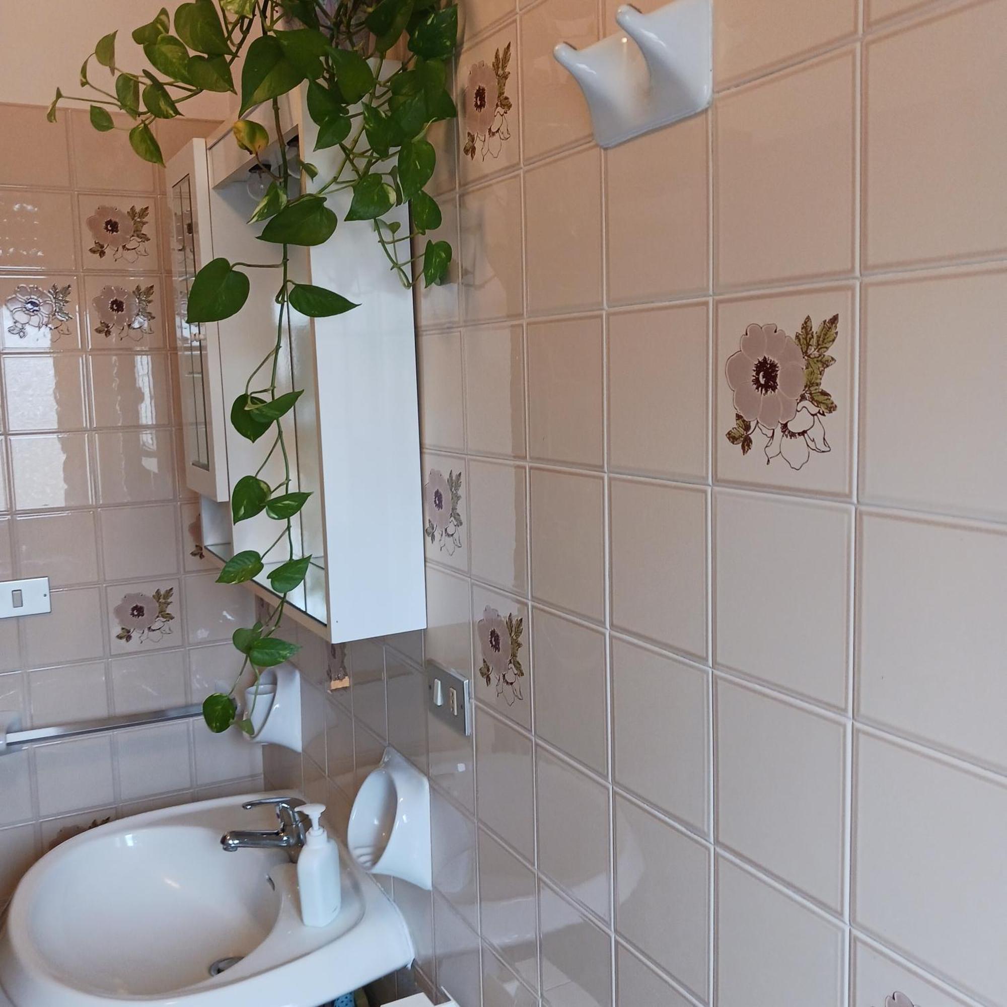 Apartment Mungi Bay, Flat With Sea View Roof Terrace *